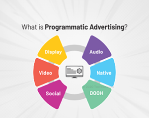 Read more about the article Top 10 Programmatic Advertising Platforms | Quick read written by a Media Buyer